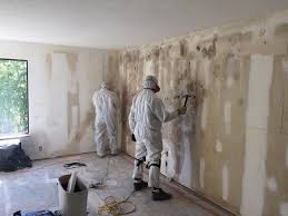 Best Black Mold Removal  in Laurens, SC